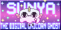Sūnya Banner